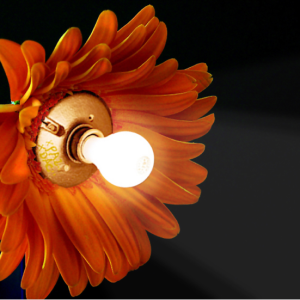 Lightbulb Flower