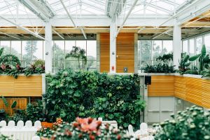 Natural Green Walls In Co-working Spaces can inspire you says Derek Lotts at Idea Girl Media