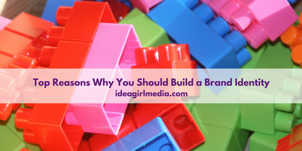 Top Reasons Why You Should Build a Brand Identity explained at Idea Girl Media