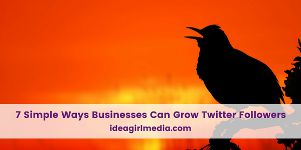 Seven Simple Ways Businesses Can Grow Twitter Followers outlined at Idea Girl Media