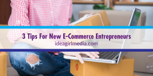 Three Tips For New E-Commerce Entrepreneurs listed for you at Idea Girl Media