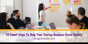 Ten Smart Steps To Help Your Startup Business Grow Quickly explained in detail at Idea Girl Media