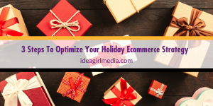 Three Steps To Optimize Your Holiday Ecommerce Strategy listed for you at Idea Girl Media