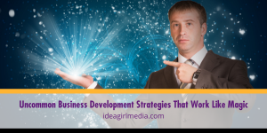 Uncommon Business Development Strategies That Work Like Magic outlined and explained at Idea Girl Media