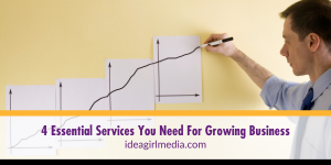 Four Essential Services You Need For Growing Business listed for you at Idea Girl Media