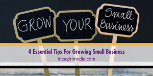 Four Essential Tips For Growing Small Business outlined at Idea Girl Media
