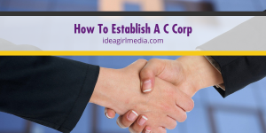 How To Establish A C Corp outlined simply at Idea Girl Media