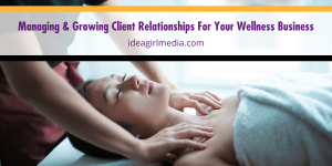 Managing And Growing Client Relationships For Your Wellness Business - the steps spelled out at Idea Girl Media