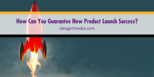 How Can You Guarantee New Product Launch Success? Question answered at Idea Girl Media
