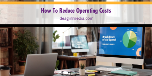 How To Reduce Operating Costs explained at Idea Girl Media