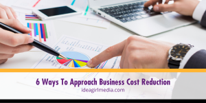 Six Ways To Approach Business Cost Reduction outlined at Idea Girl Media