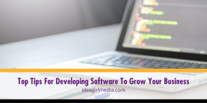 Top Tips For Developing Software To Grow Your Business outlined at Idea Girl Media