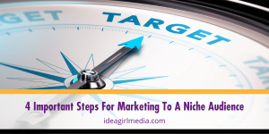 Four Important Steps For Marketing To A Niche Audience listed and explained at Idea Girl Media