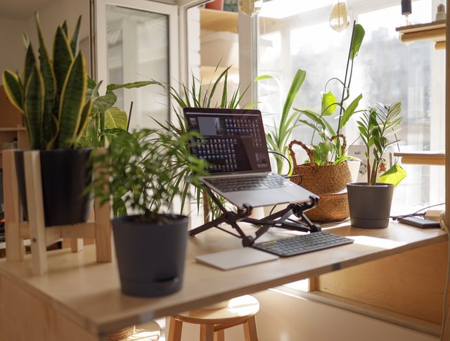 Idea Girl Media suggests you Accessorize Your Home Office Design With Plants