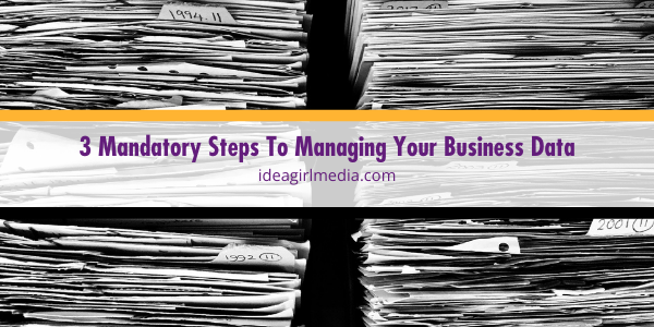 Three Mandatory Steps To Managing Your Business Data explained at Idea Girl Media