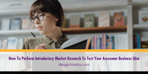 How To Perform Introductory Market Research To Test Your Awesome Business Idea explained at Idea Girl Media