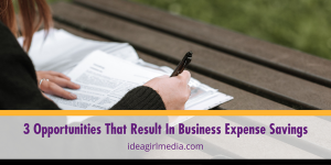 Three Opportunities That Result In Business Expense Savings outlined and explained at Idea Girl Media