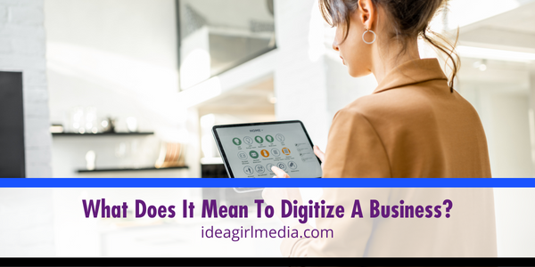 What Does It Mean To Digitize A Business? Asked and Answered by Idea Girl Media
