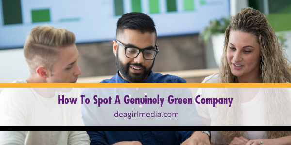 How To Spot A Genuinely Green Company mapped out at Idea Girl Media