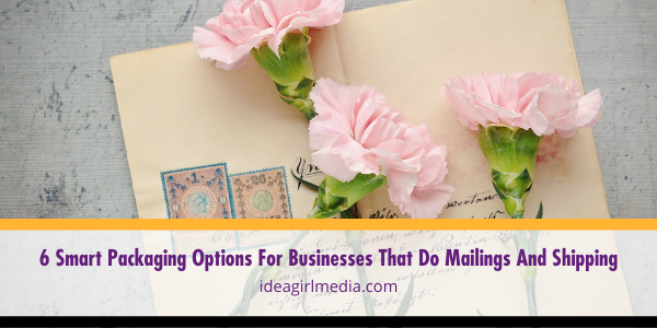 Six Smart Packaging Options For Businesses That Do Mailings And Shipping listed and detailed at Idea Girl Media