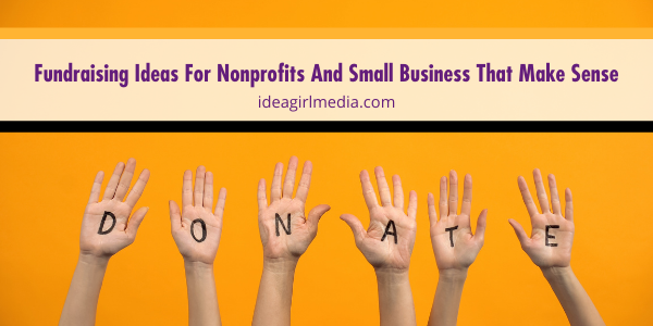 Fundraising Ideas For Nonprofits And Small Business That Make Sense detailed at Idea Girl Media