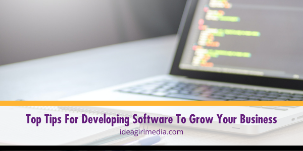 Top Tips For Developing Software To Grow Your Business outlined at Idea Girl Media