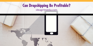 Can Dropshipping Be Profitable? Question and statistics listed at Idea Girl Media