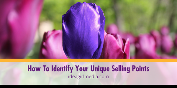 How To Identify Your Unique Selling Points - Answered at Idea Girl Media