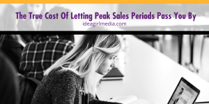 The True Cost Of Letting Peak Sales Periods Pass You By defined and detailed at Idea Girl Media